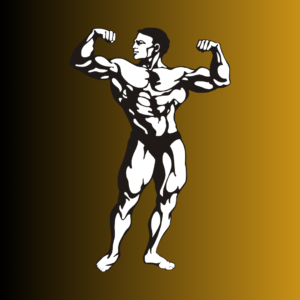 Bodybuilder vector